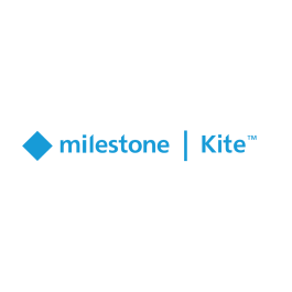 Milestone Kite